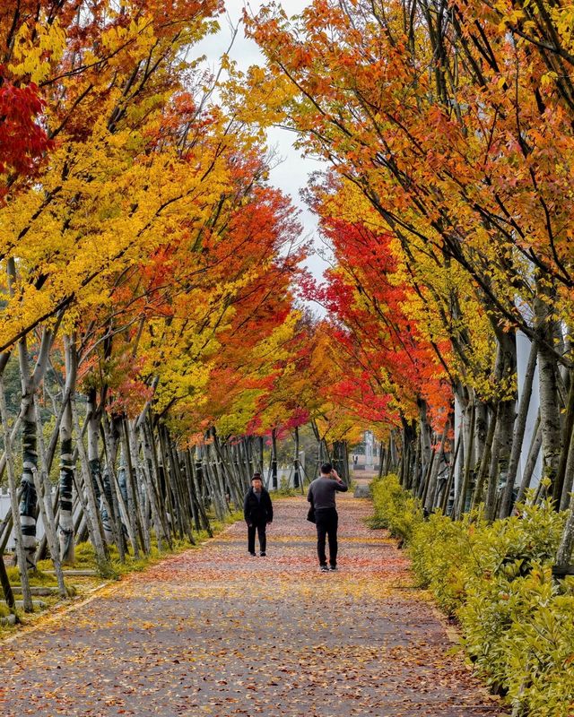 貴陽是五顏六色，多姿多彩的