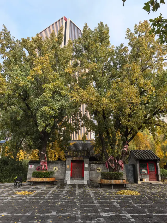 探秘京城隱秘關帝廟|南樓梓莊關王廟