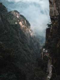 雲霧仙境徒步路線