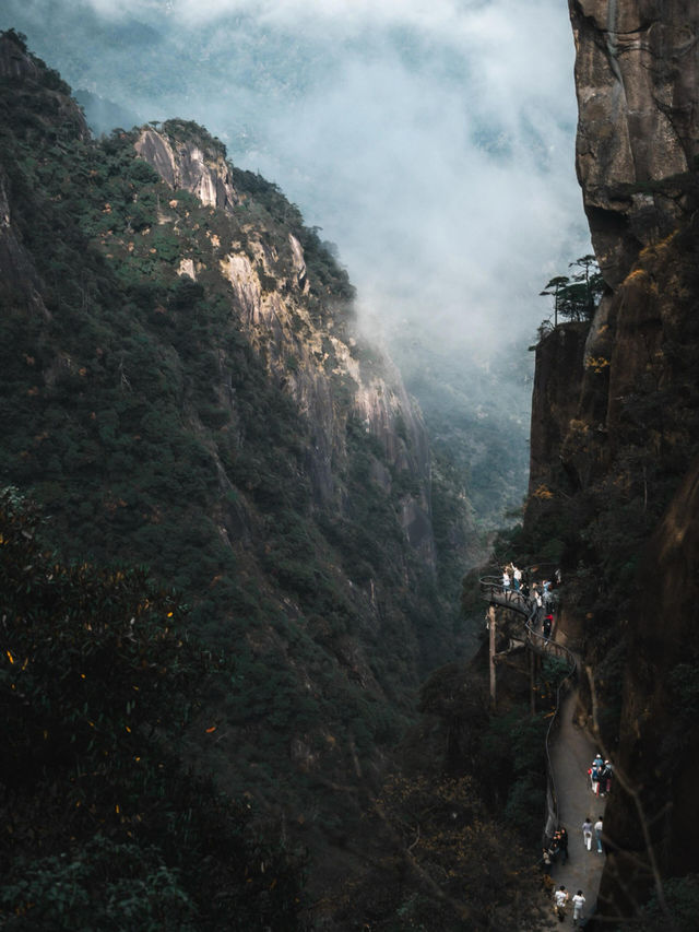 雲霧仙境徒步路線
