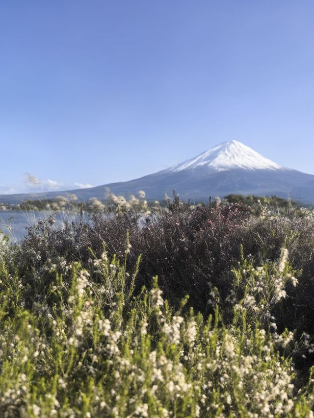日本1日包車遊省心又盡興 日本1日包車遊省心又盡興