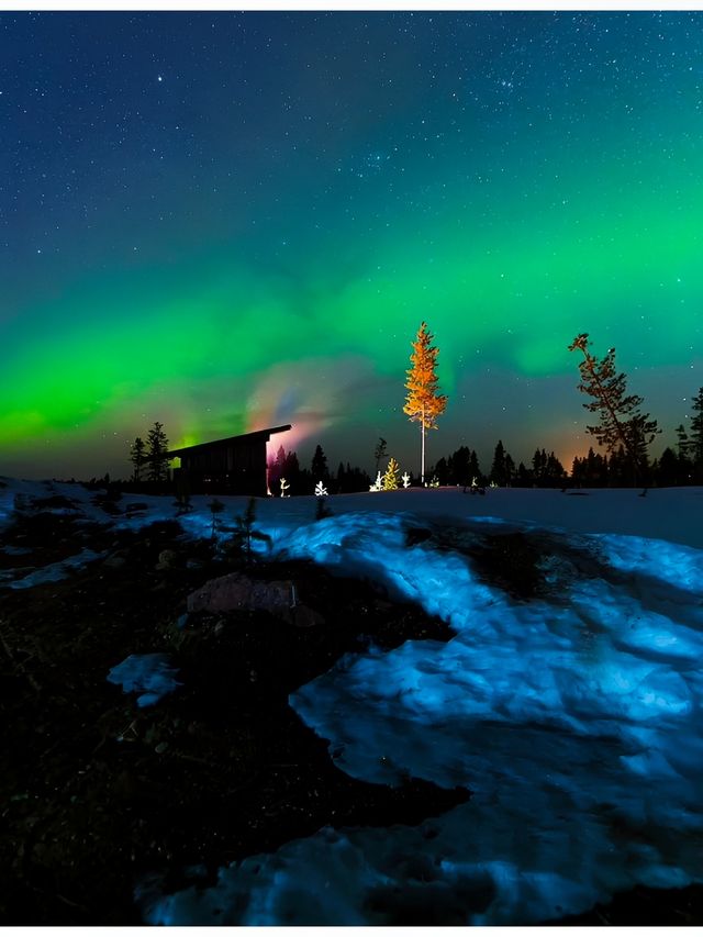 極光森林奇幻夜