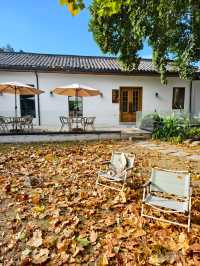 婺源秋色獨家攻略就在銀杏谷民宿