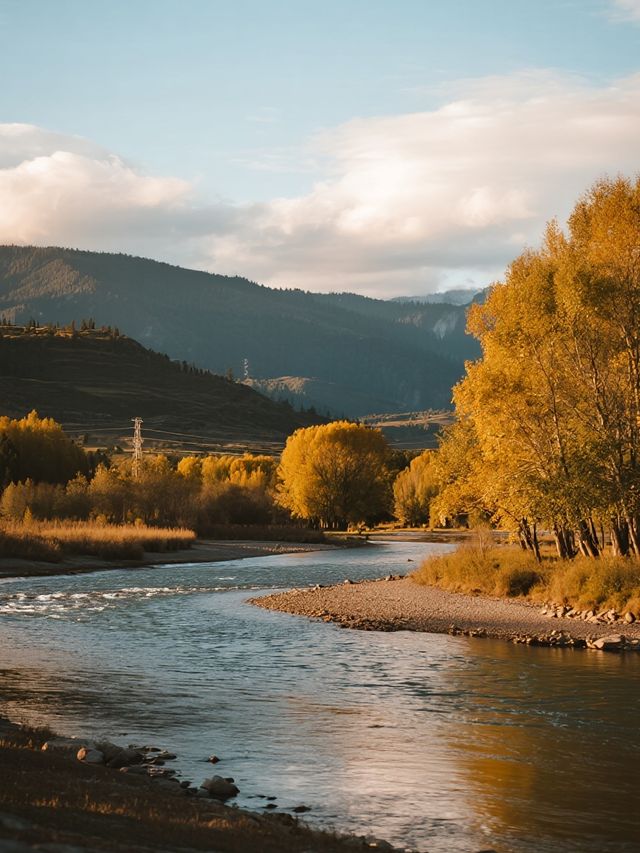 10月林芝親子遊！把童話秋景搬進現實