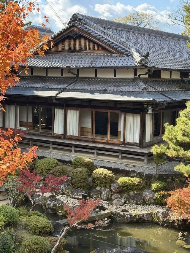 奈良紅葉季一日暴走攻略,美到窒息! 奈良紅葉季一日暴走攻略,美到窒息!