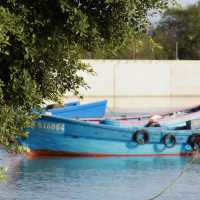 在廈門翔安,打卡《深情眼》拍攝地歐厝村