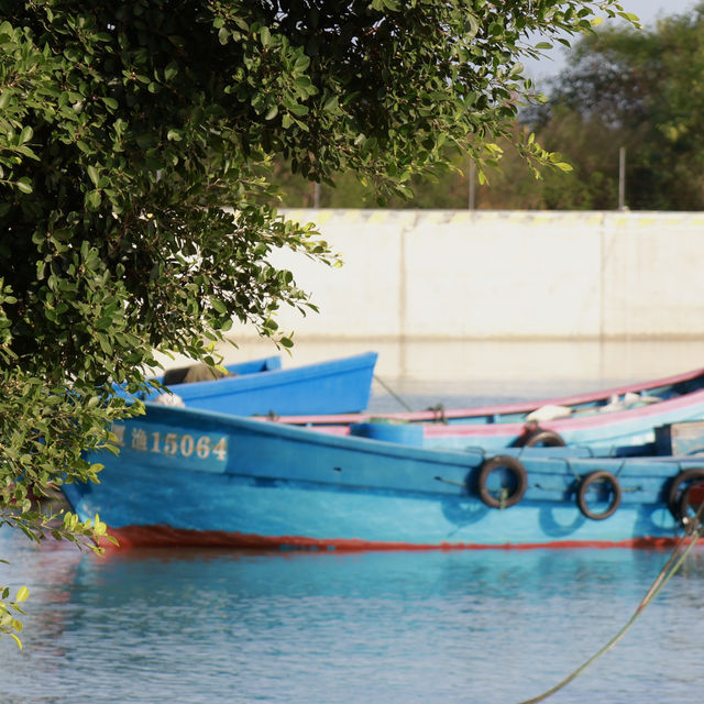 在廈門翔安,打卡《深情眼》拍攝地歐厝村 在廈門翔安,打卡《深情眼》拍攝地歐厝村