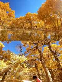 鎏金十月，赴敦煌胡楊之約，宿杏子酒店享絲路便利