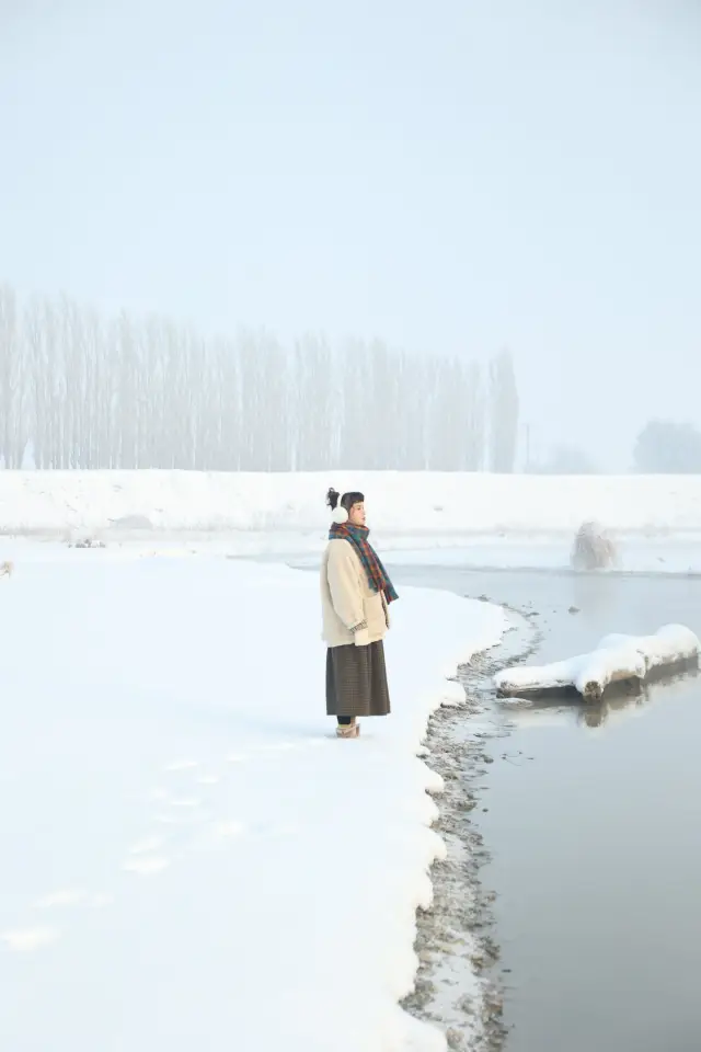 新疆北疆8日周回ルートガイド