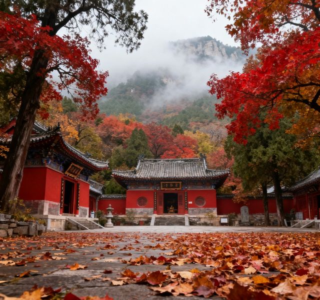 千佛山登高賞秋指南｜藏在城市裡的絕美秋色，錯過等一年！