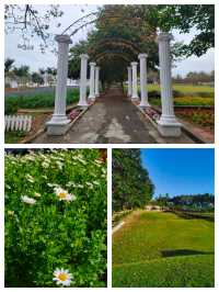 《廣東隱藏的「遛娃天堂」！20元和海獅貼臉殺，78元玩遍動物