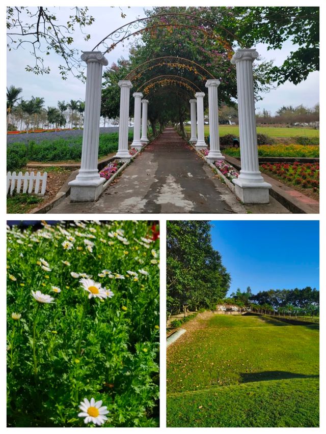 《廣東隱藏的「遛娃天堂」！20元和海獅貼臉殺，78元玩遍動物