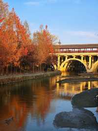 “塞納河”畔曬太陽