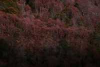 四姑娘山3日旅拍攻略冬季絕美山景這樣拍！