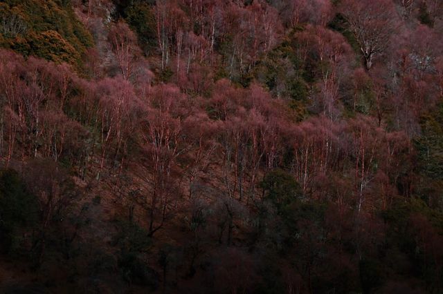 四姑娘山3日旅拍攻略冬季絕美山景這樣拍！