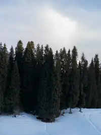 新疆伊犁的冬天,從瓊庫什台到庫爾德寧