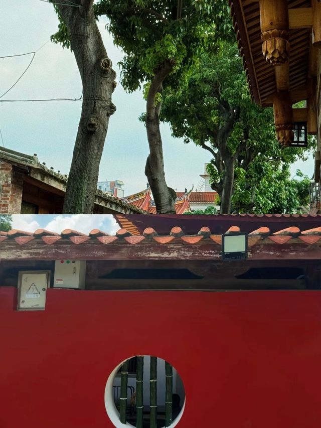 放棄三亞了！ 帶爸媽去泉州才是避寒天花板