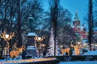 芬蘭人告訴你：「極夜模式」的北歐有多美