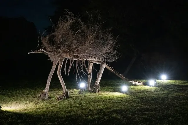 東京賞秋必看—昭和紀念公園銀杏燈光秀攻略