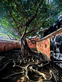 梧林古村挖寶記!600年僑鄉藏著「建築博物館」