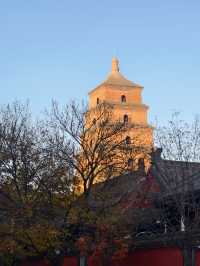 深秋初冬的西安大雁塔半日遊也太愜意了吧！