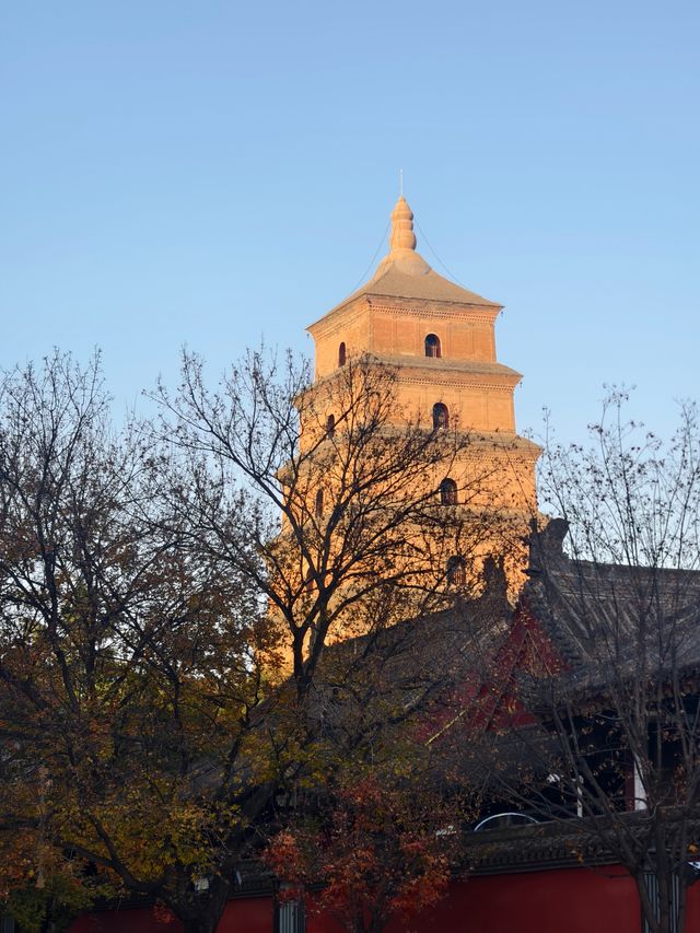 深秋初冬的西安大雁塔半日遊也太愜意了吧！