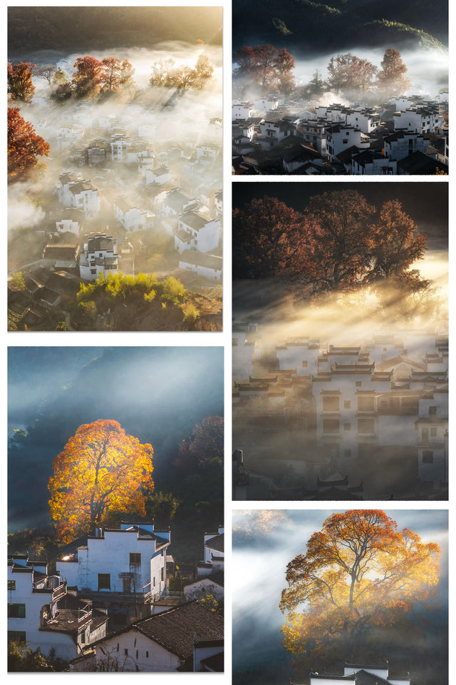 婺源石城秋日行攝全攻略｜沉浸於紅葉晨霧的水墨畫境
