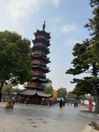 龍華寺的銀杏葉黃啦