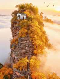 浙江人速衝安徽齊雲山免票攻略修仙賞秋兩日遊