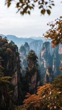 帶上家人來張家界四天三晚，玩轉阿凡達仙境！