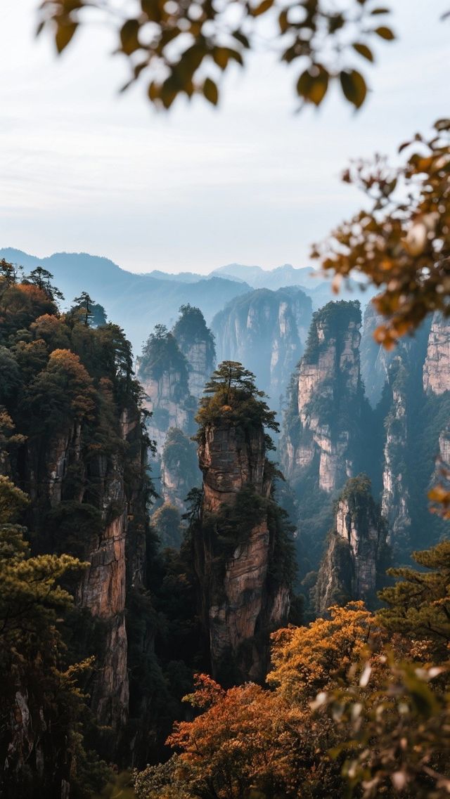 帶上家人來張家界四天三晚，玩轉阿凡達仙境！