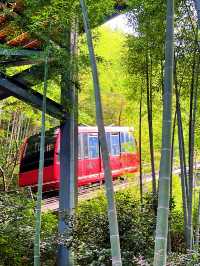 一橋一景醉溧陽