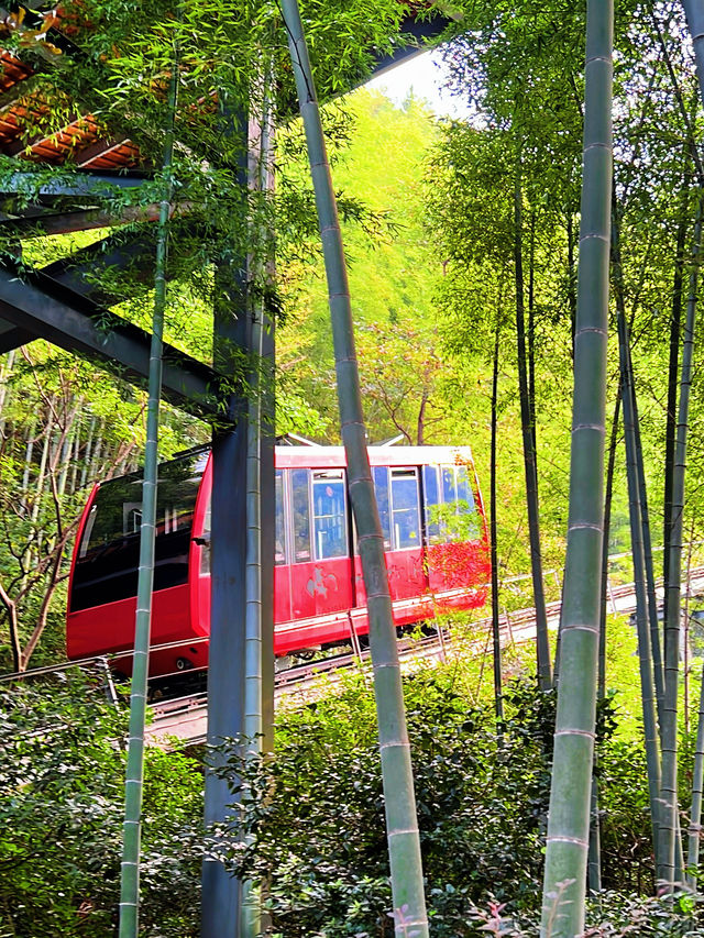 一橋一景醉溧陽 一橋一景醉溧陽