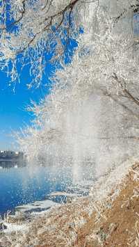 今天的吉林霧淞簡直美爆了!!!