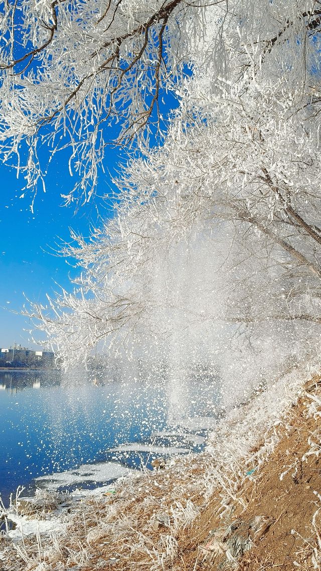 今天的吉林霧淞簡直美爆了!!! 今天的吉林霧淞簡直美爆了!!!
