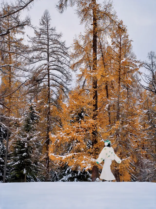 11.26實拍冬天的阿勒泰真的美到封神!! 11.26實拍冬天的阿勒泰真的美到封神!!