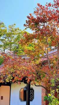 泉州西湖公園|秋日限定版桃花島太絕美了