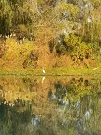 以為西湖的秋天已經夠美了,直到我來到了這裡