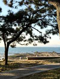 青島冬日Seawalk新路線太平角公園拍照攻略Get!