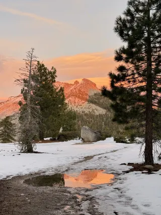 Reached the summit of the iconic north face in Yosemite!