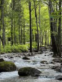 真的冬天樂山-成都之旅太治癒啦
