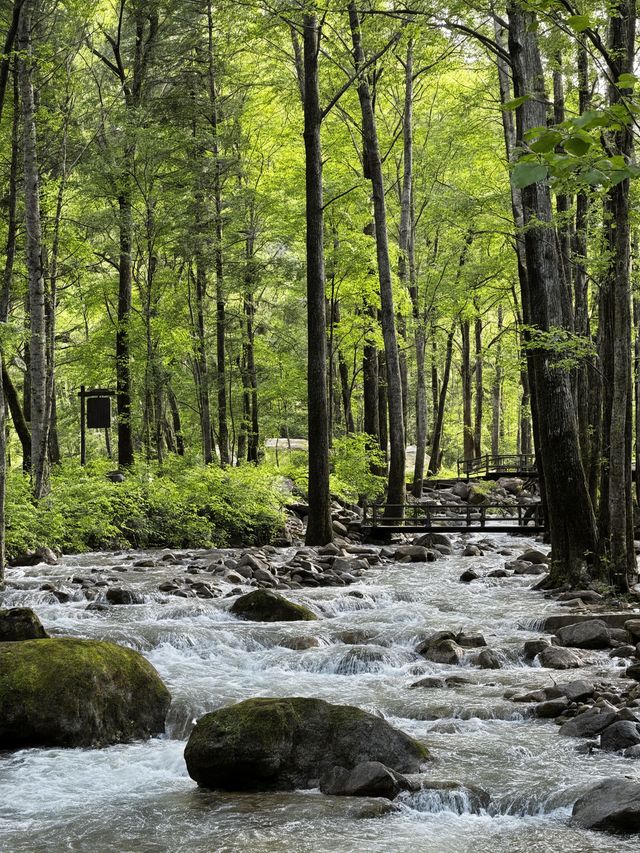 真的冬天樂山-成都之旅太治癒啦