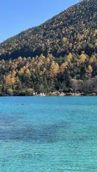 雲南7天6晚solotrip repo