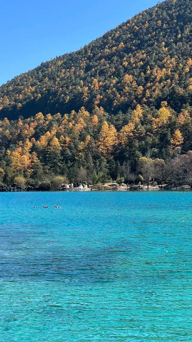 雲南7天6晚solotrip repo 雲南7天6晚solotrip repo