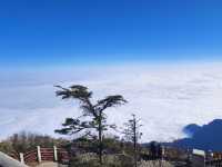 成都出發峨眉山3天2夜|純玩親測雲海禪意全收穫