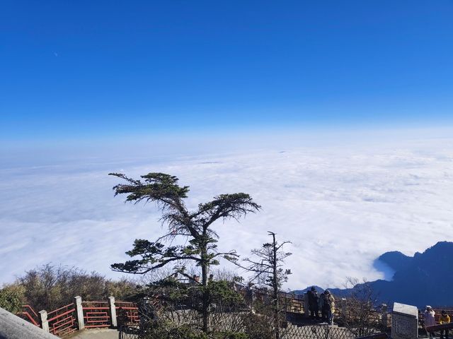 成都出發峨眉山3天2夜|純玩親測雲海禪意全收穫 成都出發峨眉山3天2夜|純玩親測雲海禪意全收穫