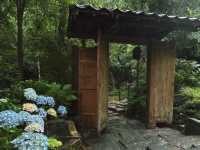 剛回來!!被朋友圈問爆了的民宿