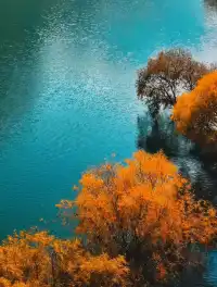 子房湖泛舟!闖入秋日的碧水彩林畫卷