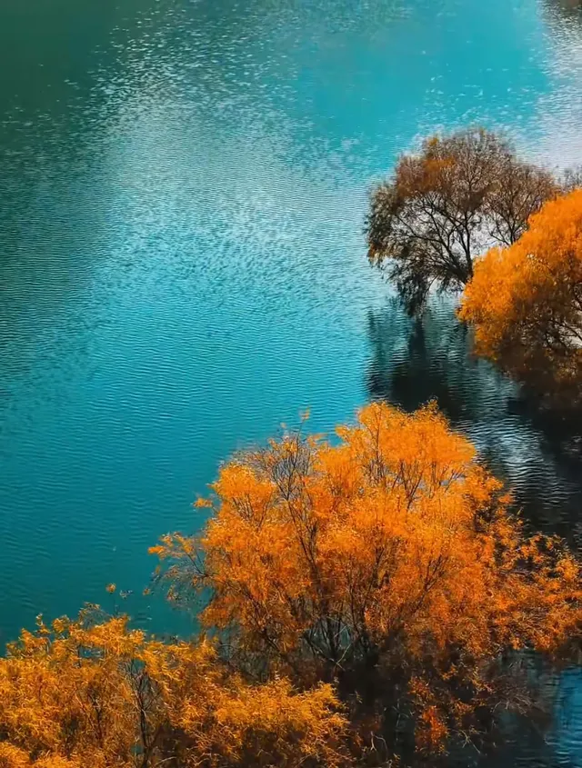 子房湖泛舟!闖入秋日的碧水彩林畫卷 子房湖泛舟!闖入秋日的碧水彩林畫卷