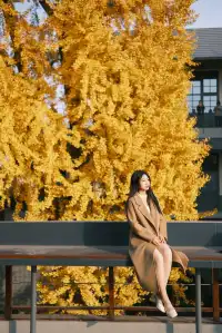 揚州蘇唱街|12月1日下午拍攝,這週得趕緊衝!